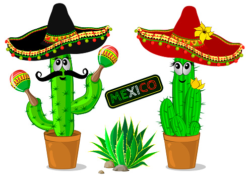 Ilustración de Dos Dibujos Animados De Cactus En Sombrero Mexicano Con  Maracas Divertidos Cactus Con Bozales En Macetas y más Vectores Libres de  Derechos de Cactus - iStock