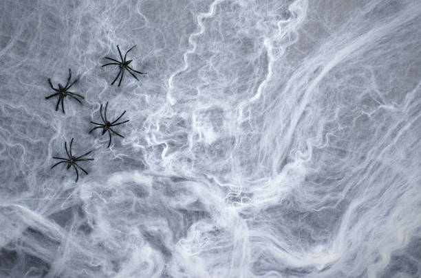 istock Cobweb with Black Spiders on Dark Background, Halloween Symbol 995288080