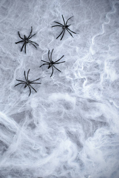 istock Cobweb with Black Spiders on Dark Background, Halloween Symbol 995288308