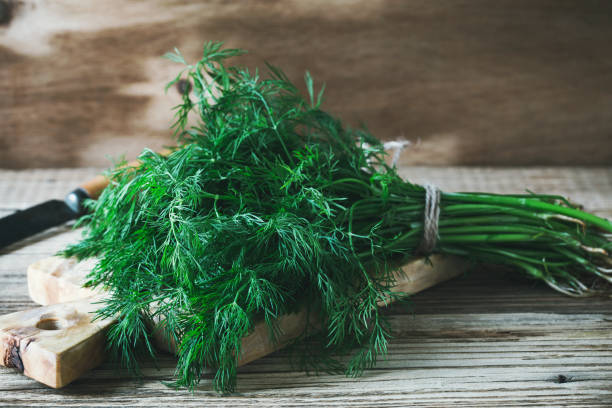 istock Bunch of fresh homegrown organic dill 995291486