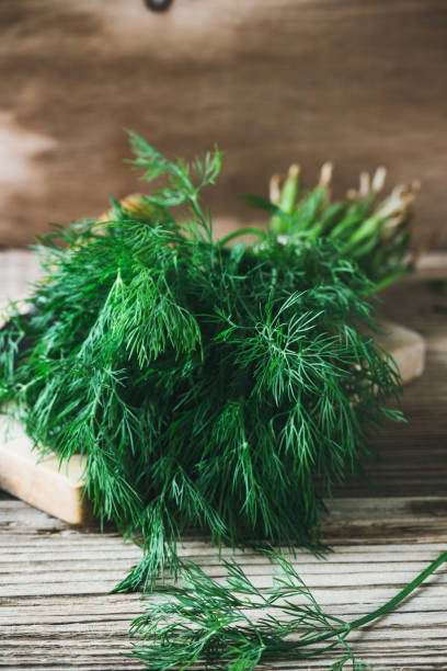 istock Bunch of fresh homegrown organic dill 995291512