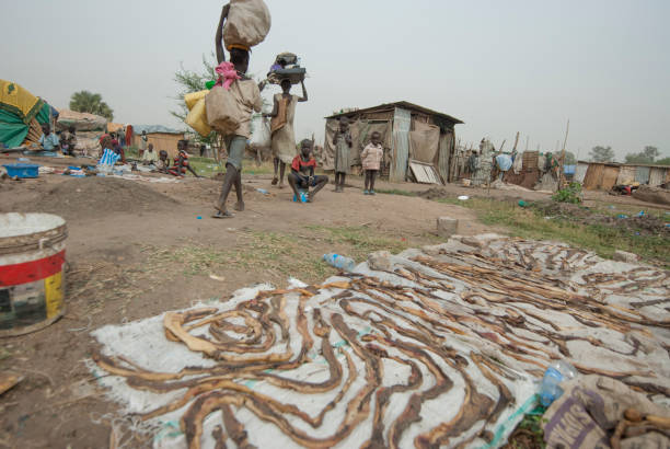 le donne passano davanti ai rifiuti dei macellai essiccati per mangiare nel campo profughi, juba, sud sudan. - africa south africa child african culture foto e immagini stock