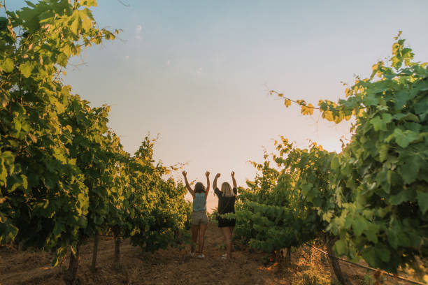 istock Two women with arms raised in vineyards at sunset 995302144