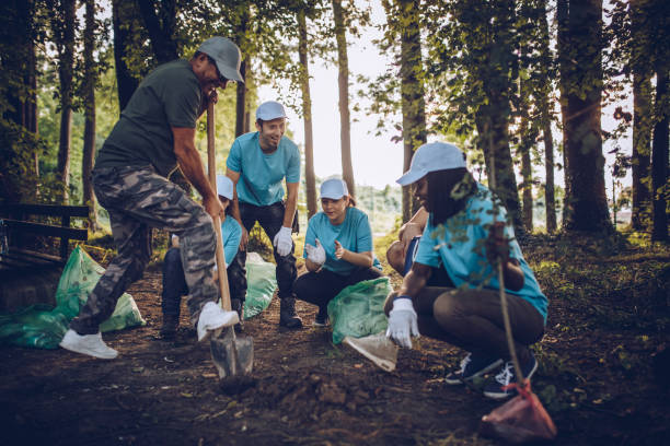 People Planting Tree In Park