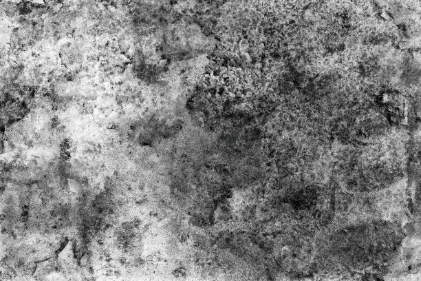 istock Grunge is black and white. Abstract monochrome background. Pattern of cracks, chips, scuffs, dust, stains 995313282