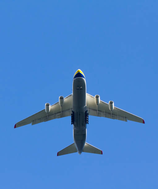 istock A plane is flying in the sky 995323192