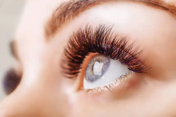 Eyelash Extension Procedure. Woman Eye with Long Eyelashes. Lashes. Close up, macro, selective focus