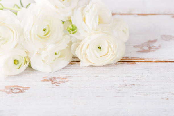 istock Bouquet of White Ranunculus Buttercup Flowers 995329326