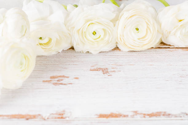 istock Bouquet of White Ranunculus Buttercup Flowers 995329370