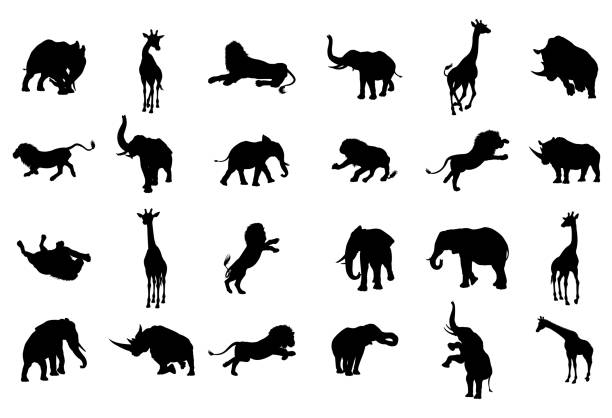 아프리카 사파리 실루엣 동물 - zoo animal safari giraffe stock illustrations