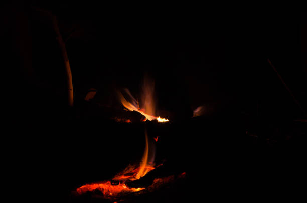istock the bonfire is burning firewood 995332958