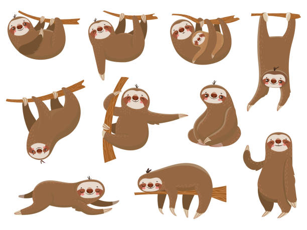 Cute cartoon sloths. Adorable rainforest animals, mother and baby on branch, funny sloth animal sleeping on jungle tree vector set Cute cartoon sloths. Adorable rainforest animals at zoo, mother and baby family on branch, funny parents sloth animal sleeping hanging on jungle tree colorful vector isolated icon set sloth stock illustrations