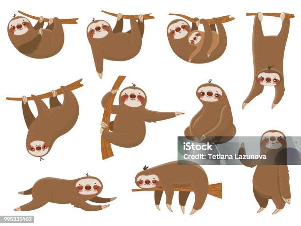 Cute Cartoon Sloths Adorable Rainforest Animals Mother And Baby On Branch Funny Sloth Animal Sleeping On Jungle Tree Vector Set Stock Illustration - Download Image Now