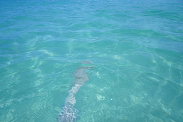 ocean,ginowan,Okinawa,beach,summer,Japan