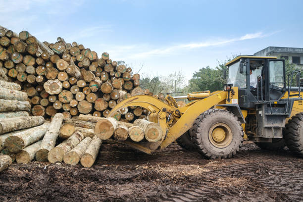 istock Forklift truck grabs wood in a wood processing plant 995358070