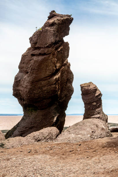 istock Hopewell Rocks 1 995358258