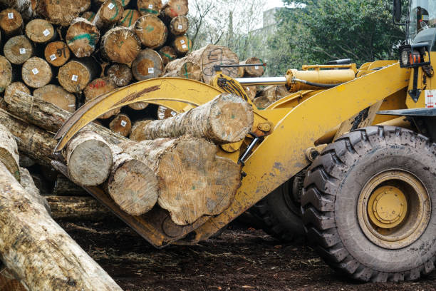 Forklift truck grabs wood in a wood processing plant Forklift truck grabs wood in a wood processing plant lumber industry timber lumberyard industry stock pictures, royalty-free photos & images