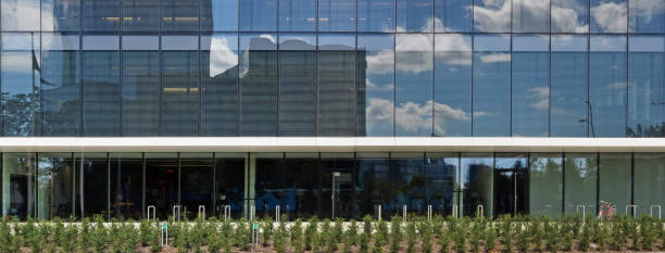 istock Fir trees row and  bicycle parking near a modern no name city office building. Panoramic collage from several outdoor photos 995372114