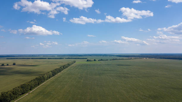 istock aerial view of a beautiful sunset over green corn fields - agricultural fields 995373980