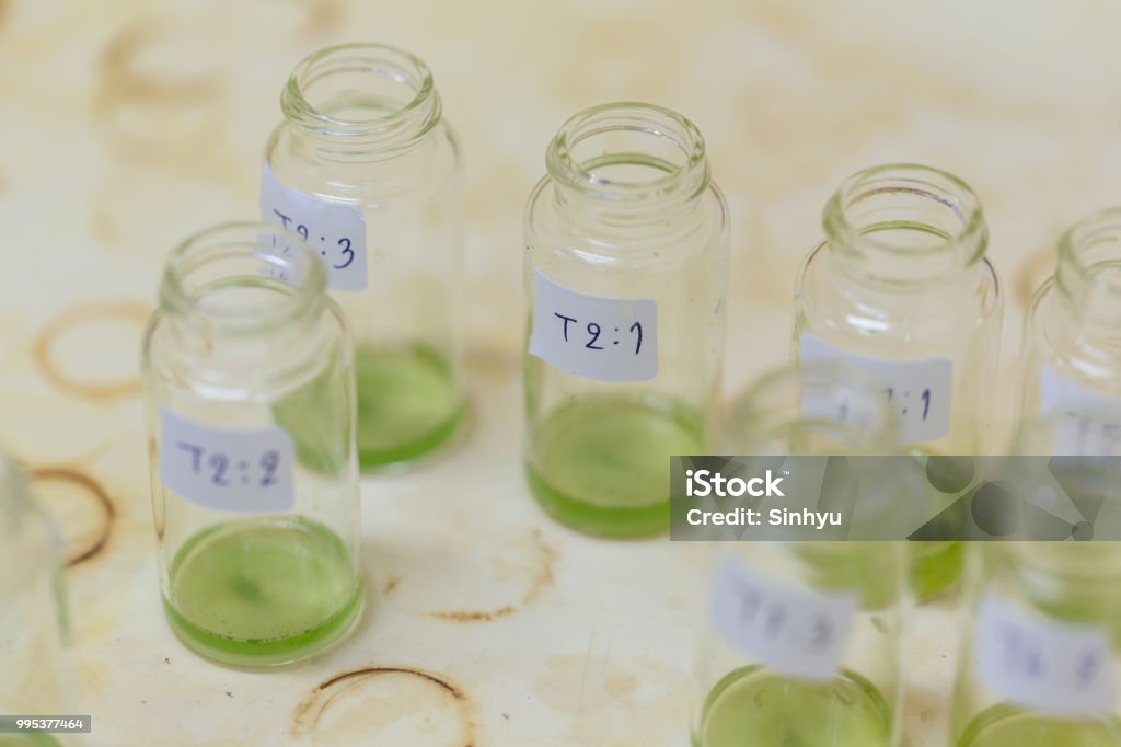 Analysis of fish meal in laboratory. Acid Stock Photo