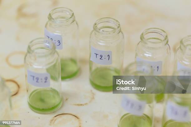 Analysis Of Fish Meal In Laboratory Stock Photo - Download Image Now - Acid, Analyzing, Beaker