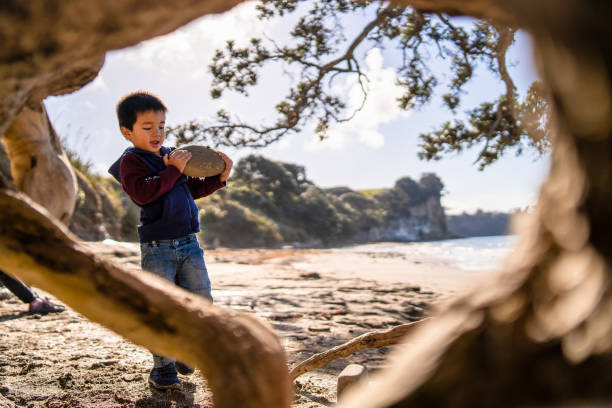 Kid at beach collecting wood to make shelter at Long Bay, Auckland, New Zealand.