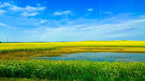 istock Brest City of Belarus 995402662