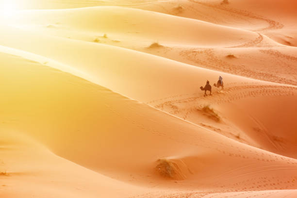 istock Riding camel in the desert 995439382