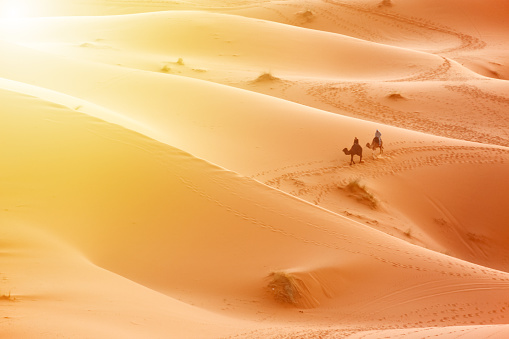 Riding camel in the desert