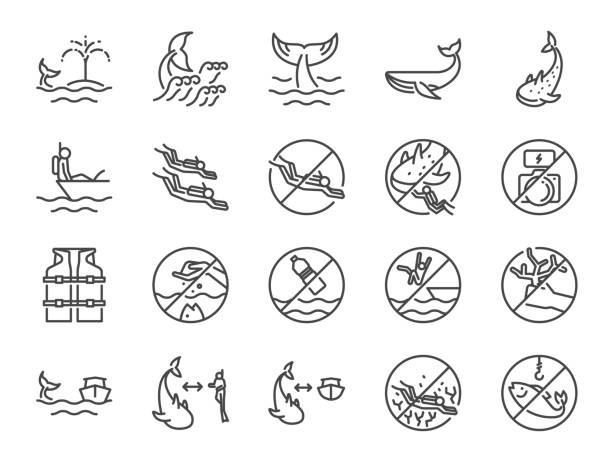 Whale watch icon set. Included icons as Whale watching, scuba diver, diving, marine, ocean traveler, underwater and more. Whale watch icon set. Included icons as Whale watching, scuba diver, diving, marine, ocean traveler, underwater and more. blue whale tail stock illustrations