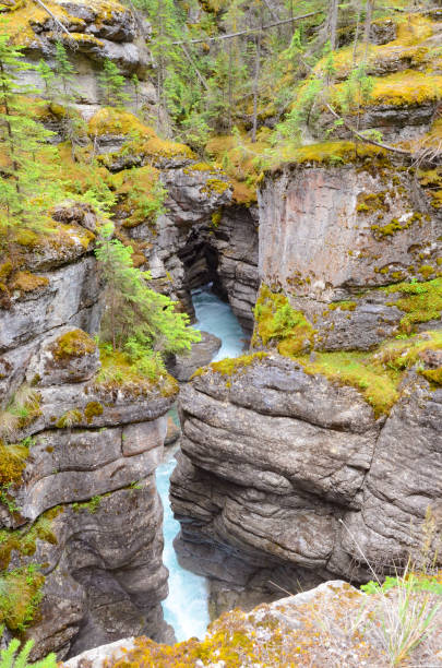 istock Canadian Rockies 995443902