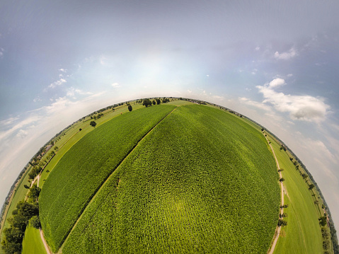 360° panoramic view of corn fields