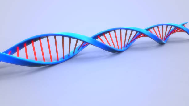 istock Digital illustration of DNA structure 995446946