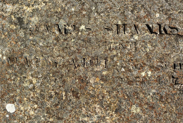 istock Old stone surface with partly readable engraved Latin letters covered with multi-coloured lichen 995449032