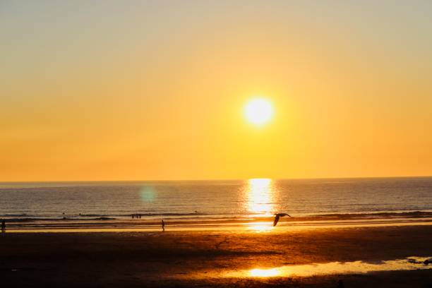 istock Sunset on fistral beach newquay Cornwall England. 995454950