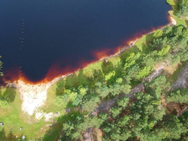 vista aérea na superfície do lago de lama, floresta e praia - mud terrain - fotografias e filmes do acervo