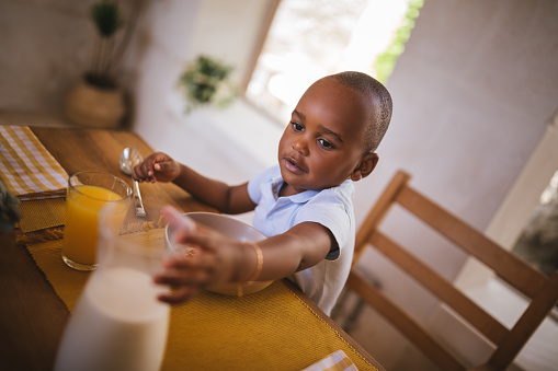 Little boy holding milk jug for corn flakes with milk during breakfast at home