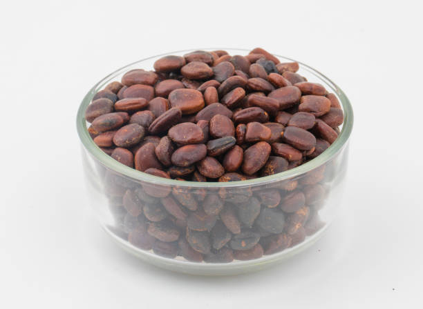 Fresh and healthy tamarind Seed stock photo
