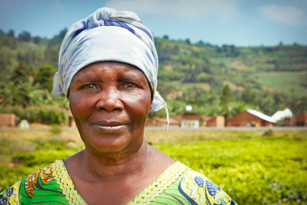 African woman working at the tea plantation Portrait of african woman at the tea plantation in Rwanda rwanda photos stock pictures, royalty-free photos & images