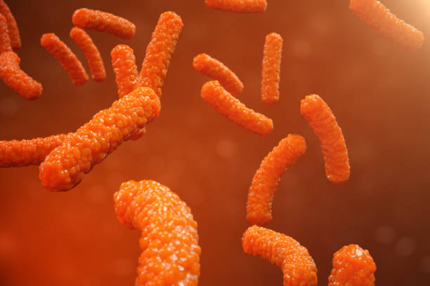 istock 3D illustration virus bacteria. Viral infection causing chronic disease, decreased immunity. Red bacteria under microscope close-up. Virus abstract background in space. 995486356