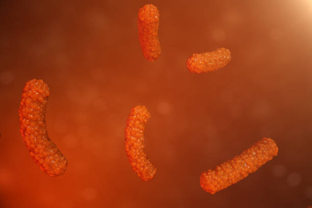 istock 3D illustration virus bacteria. Viral infection causing chronic disease, decreased immunity. Red bacteria under microscope close-up. Virus abstract background in space. 995486382