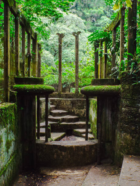 stone walkway in lush jungle - 5891 imagens e fotografias de stock