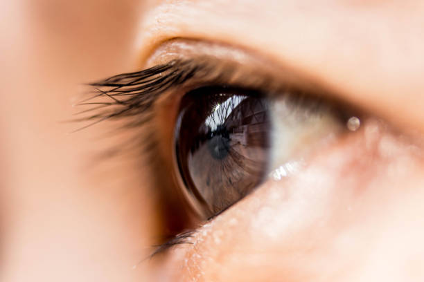 istock macro photo of the eye. 995497036