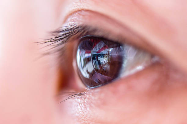 istock macro photo of the eye. 995497058