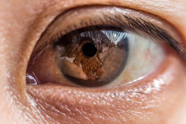 istock macro photo of the eye. 995497120