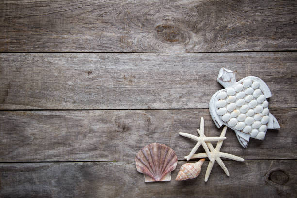 istock Beach themed wooden background 995513642