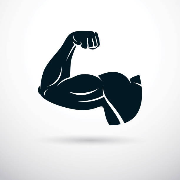 ilustrações, clipart, desenhos animados e ícones de fisiculturista bíceps musculoso braço. ilustração do vetor de levantamento de peso. - men muscular build bicep body building