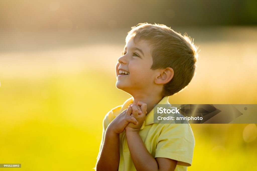 cheerful smiling little boy outdoors in summer sunlight upper body 4 year old boy laughing full of joy looking excited and grateful with copyspace rural outdoor surrounding shallow depth of field  sunset summer vacation or weekend theme Child Stock Photo