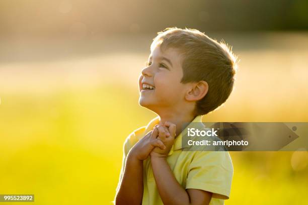 Cheerful Smiling Little Boy Outdoors In Summer Sunlight Upper Body Stock Photo - Download Image Now