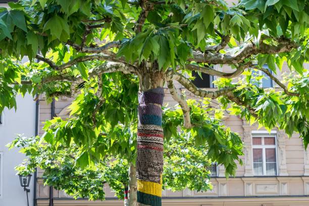 Knitted scarf wrapped around a tree